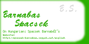 barnabas spacsek business card